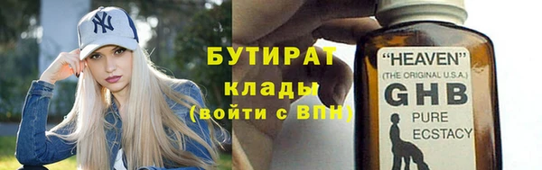 индика Богданович