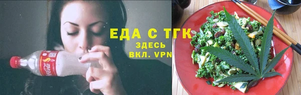 индика Богданович