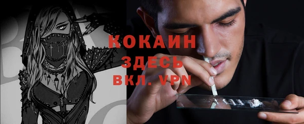 индика Богданович