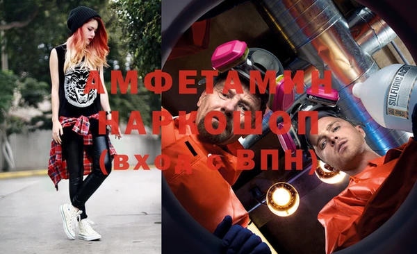 индика Богданович