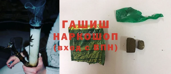 индика Богданович