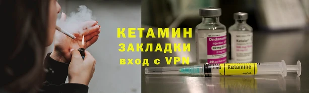 индика Богданович