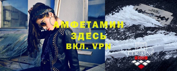 индика Богданович