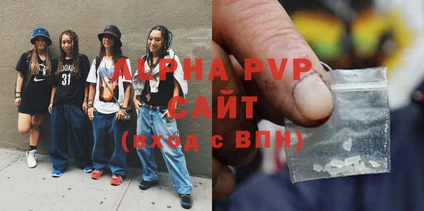 индика Богданович