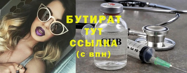 индика Богданович