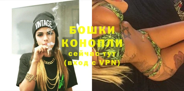 индика Богданович